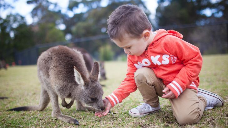 Symbio Wildlife Park review
