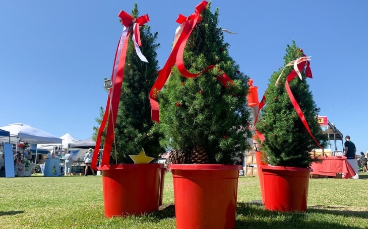 Christmas trees