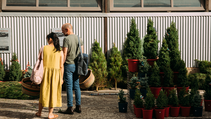 Carriageworks Christmas Trees