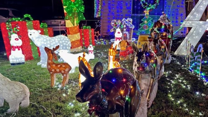Mornington Christmas Lights