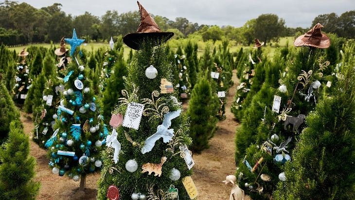 Harry Potter Christmas Tree Farm