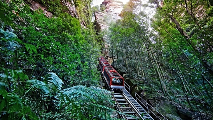 Scenic World Pass
