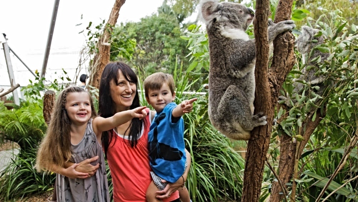 Sydney Attractions Pass