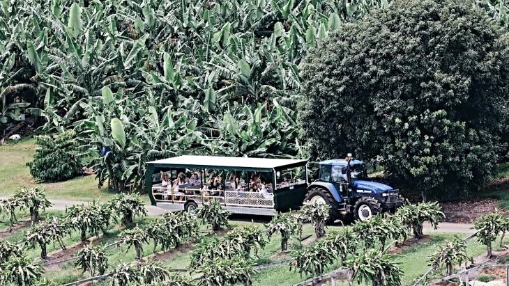 Tropical Fruit World
