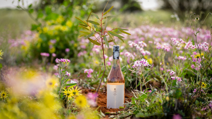 Tread Softly Rosé