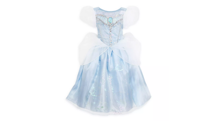 Disney Cinderella Costume