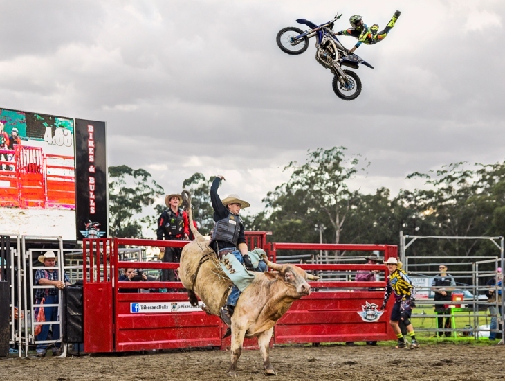 Bikes and Bulls Brisbane