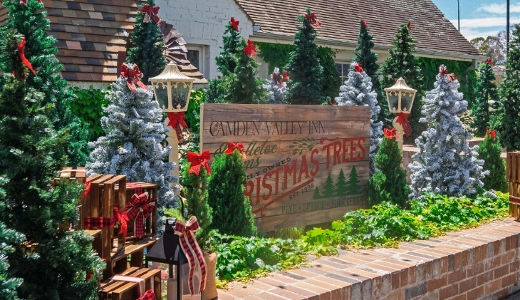 A Country Christmas at Camden Valley Inn
