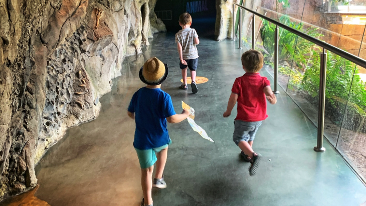 WILD LIFE Sydney Zoo