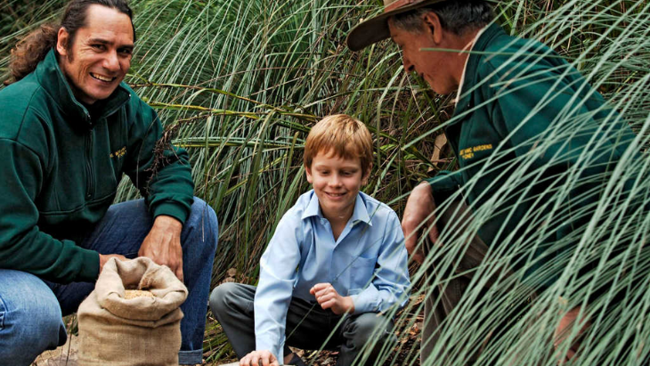 Botanic Gardens Bush Tucker Tour