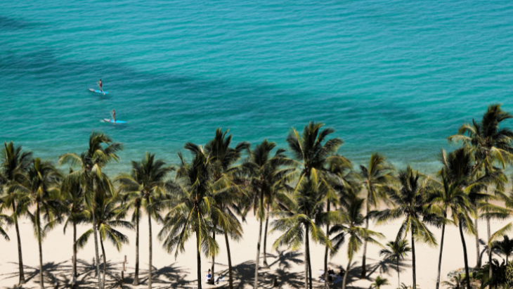The Sundays Hamilton Island