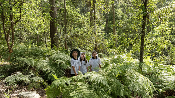 Newington College Lindfield