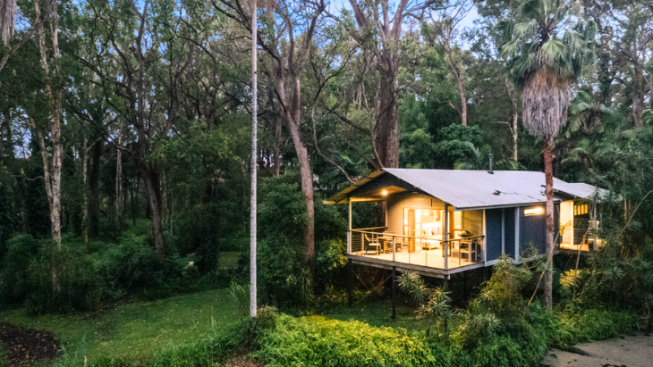 Diamond Waters Treehouse