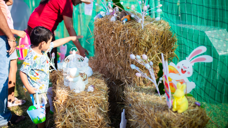 The Hills Easter Show