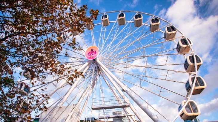 Skyline Precinct Ferris Wheel