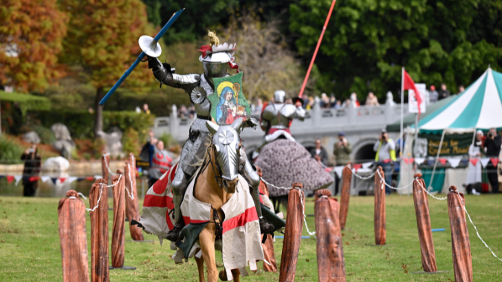Medieval Fayre
