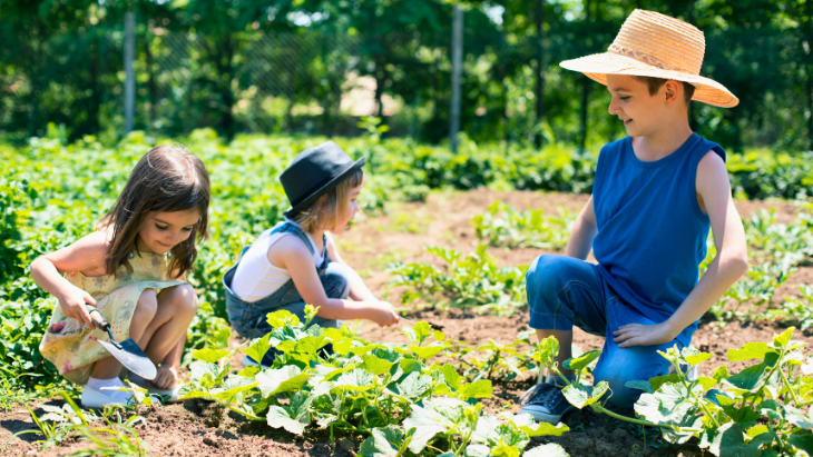 Community Gardens in Western Sydney