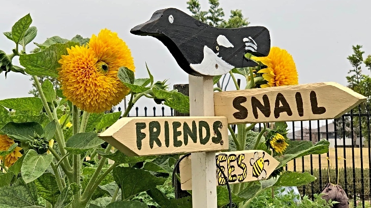 Bungarribee Community Garden