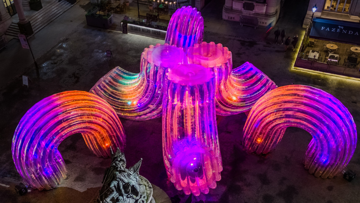 Elysian Collection Vivid