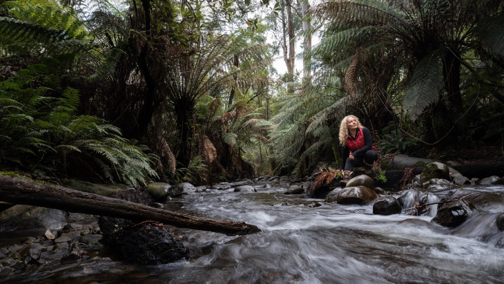 Great Forest National Park