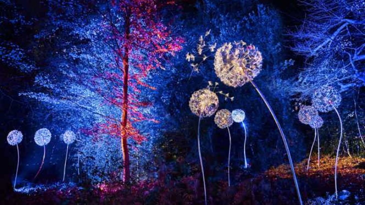 Lightscape