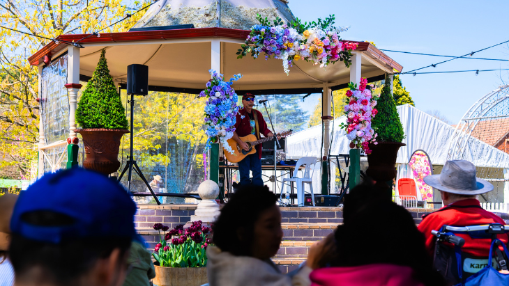 Tulip Time Festival
