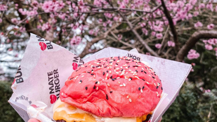 The Sydney Cherry Blossom Festival 