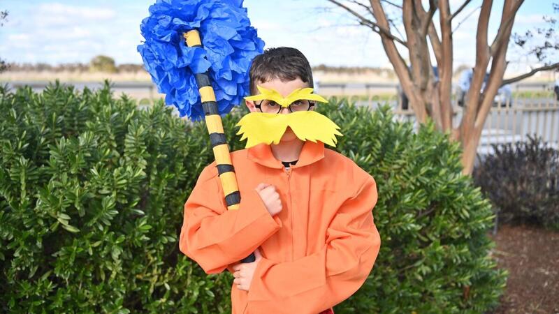 Book Week Costume Ideas the lorax