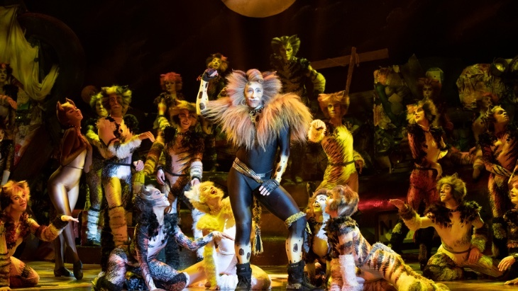 CATS the Musical