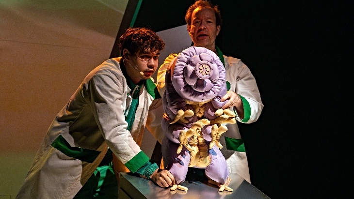 Sydney Opera House Moss Piglet