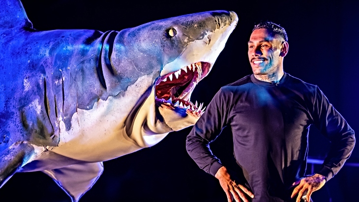 Shark Dive Play! Kids Festival