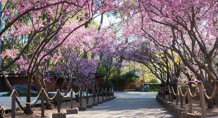 Auburn Botanic Gardens
