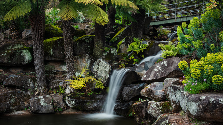 Blue Mountains Botanic gardens