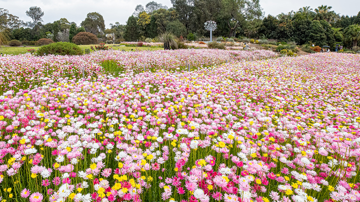Australian Botanic Garden Mount Annan