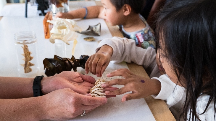 School holidays at the Australian National Maritime Museum