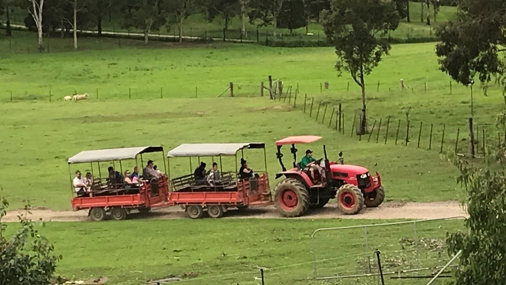Calmsley Hill City Farm