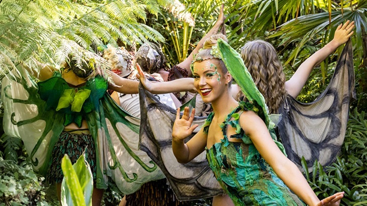 Royal Botanic Garden Sydney Tinkebell