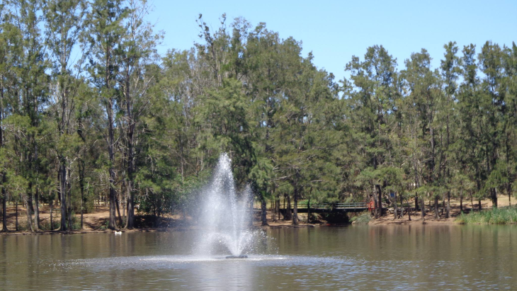 Werrington Lakes Playground, Werrington