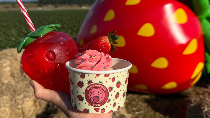 Oasis Strawberry Festival 