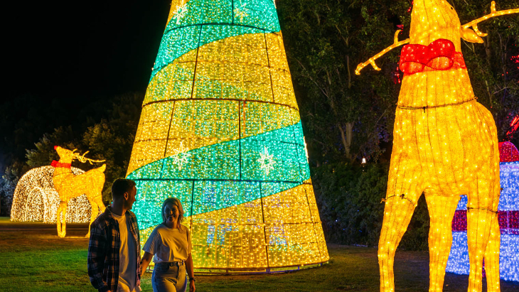 Hunter Valley Gardens Christmas Lights