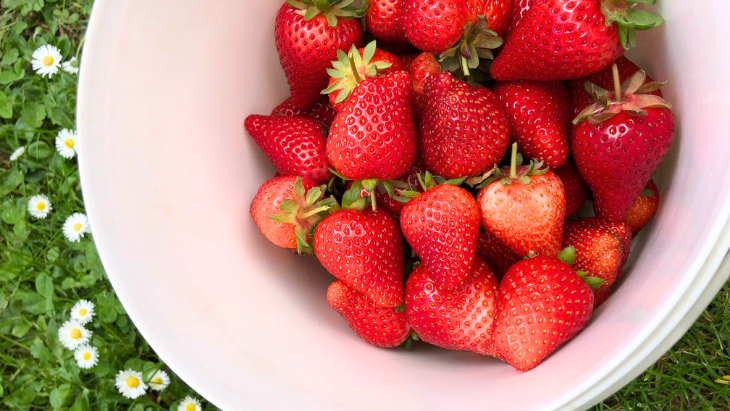 Strawberry farms in Melbourne