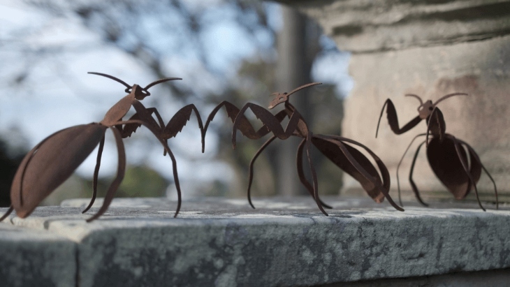 Artisans in the Gardens 2025 | Royal Botanic Garden Sydney