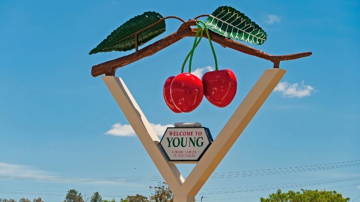 Welcome to Young Cherry Sign