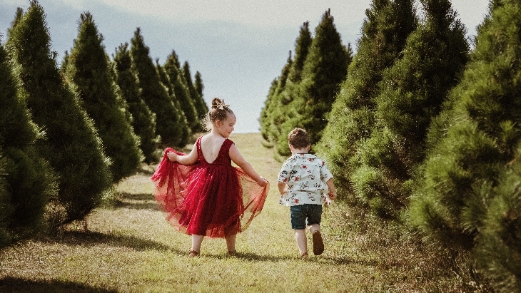 Luddenham Christmas Tree Farm