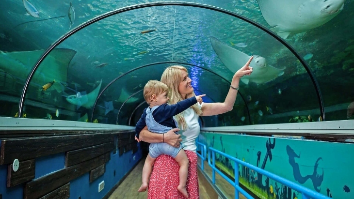 Things to do with toddlers in Sydney