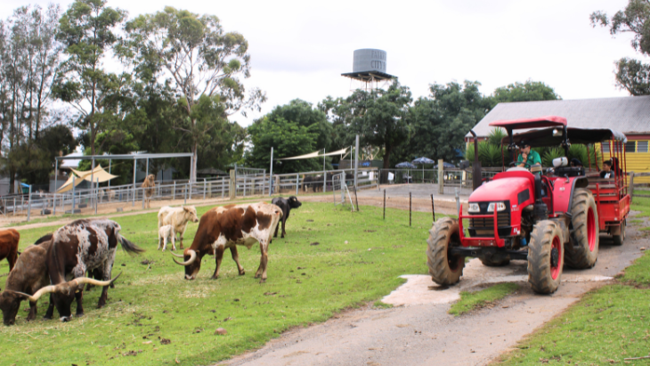 Calmsley Hill City Farm