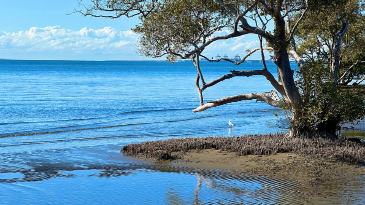 Nudgee Beach