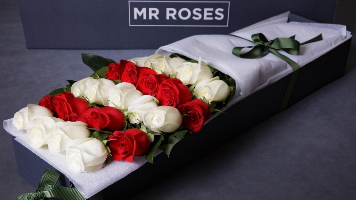 Mr Roses