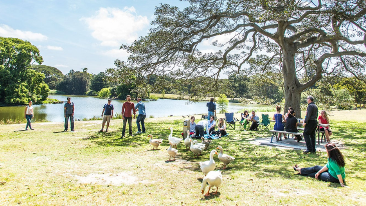 Centennial Park Boxing Day Picnic Spots