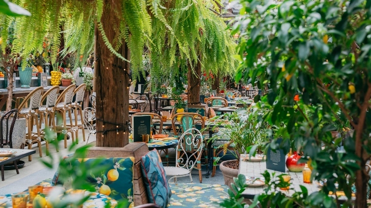 The Grounds of Alexandria